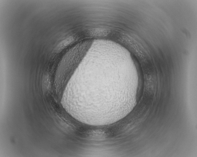 X0000115620692200912081023