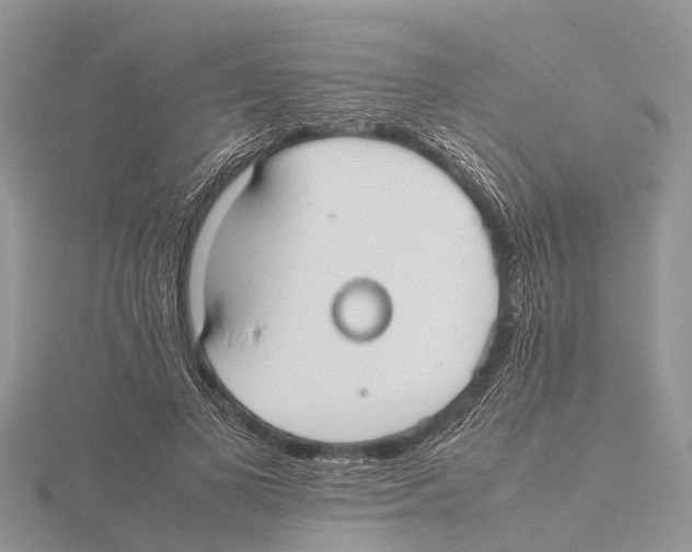 X0000115620693200912081023