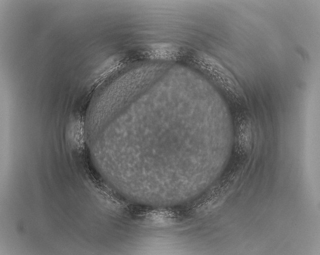 X0000115620696200912081023