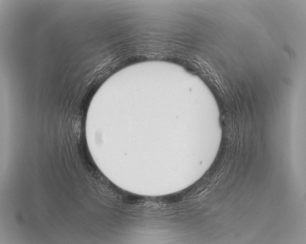 X0000115620697200912081023