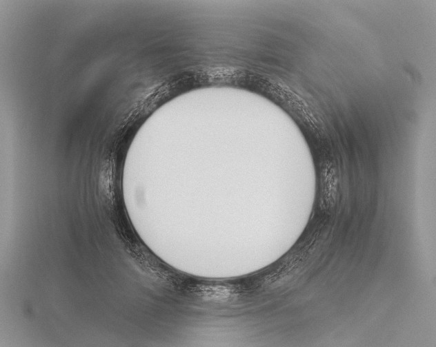 X0000115620698200912081023