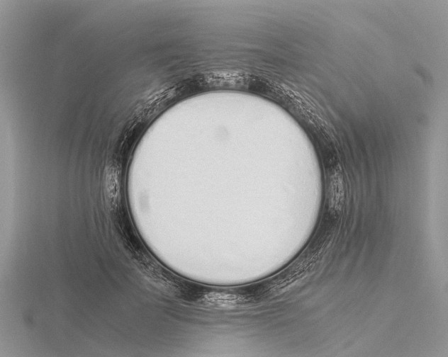 X0000115620699200912081023