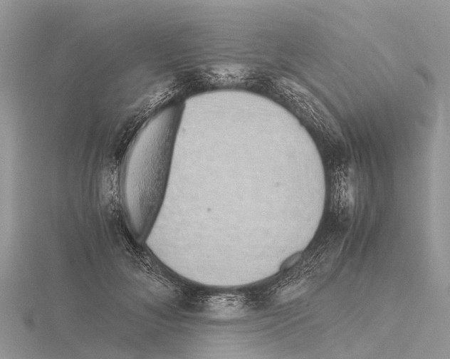 X0000115620700200912081023