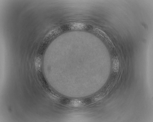 X0000115620701200912081023