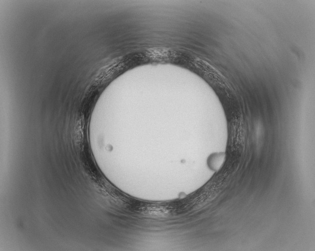 X0000115620702200912081023