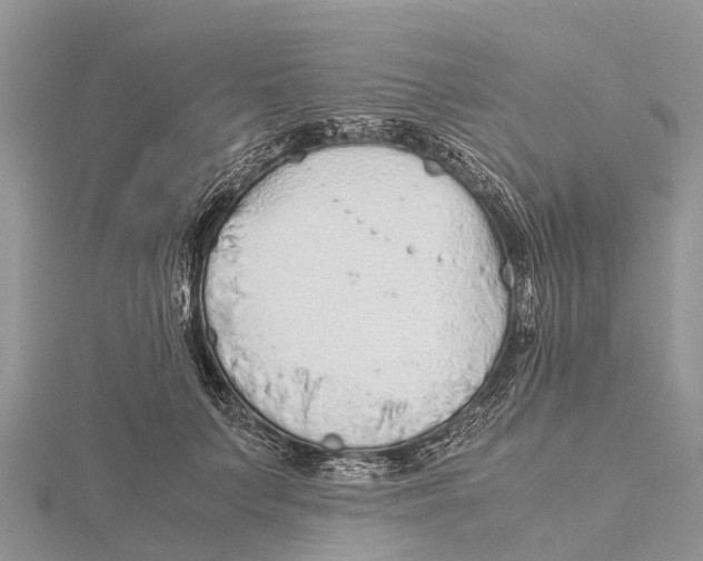 X0000115620703200912081023