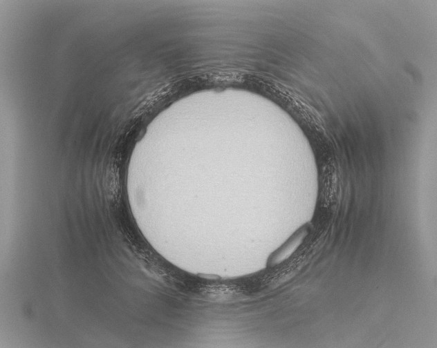 X0000115620704200912081023