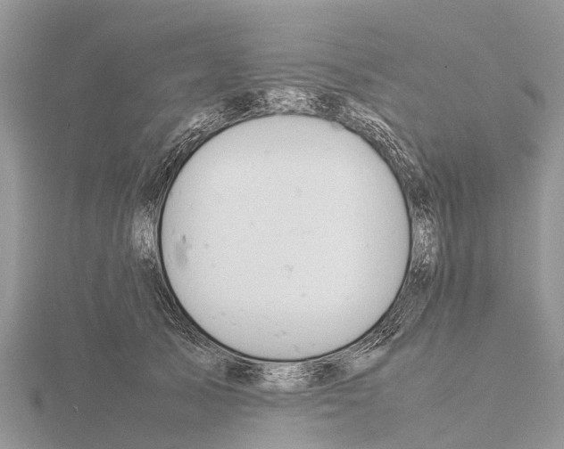 X0000115620705200912081023