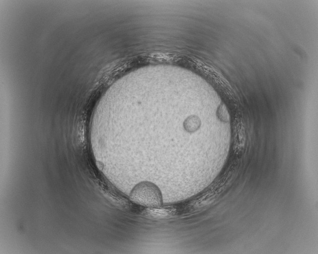 X0000115620706200912081023