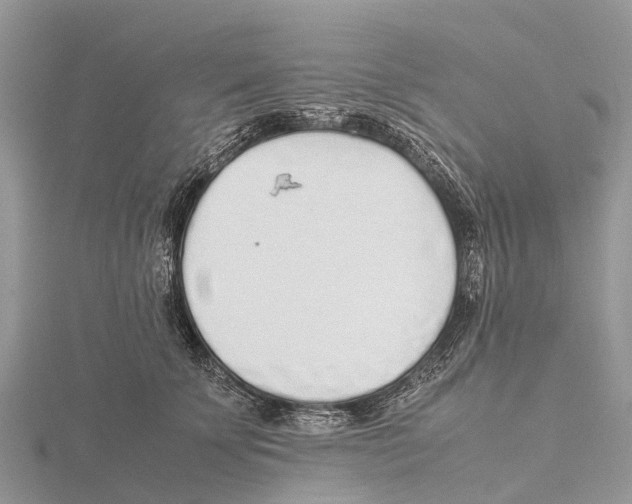 X0000115620707200912081023