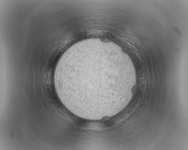 X0000115620708200912081023