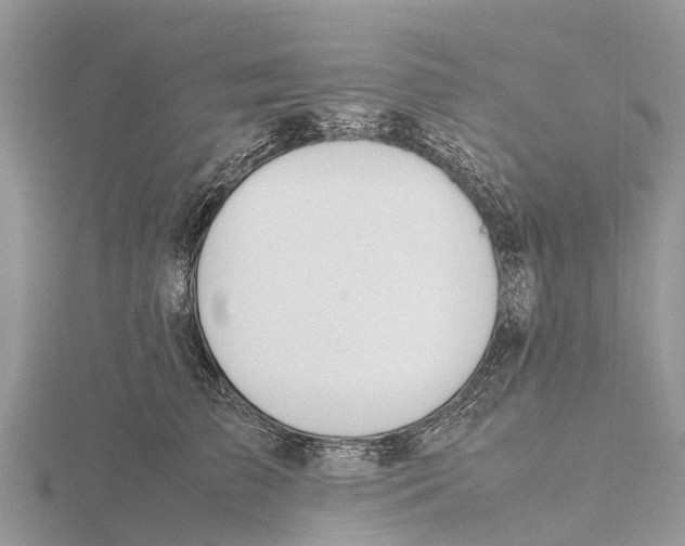 X0000115620709200912081023