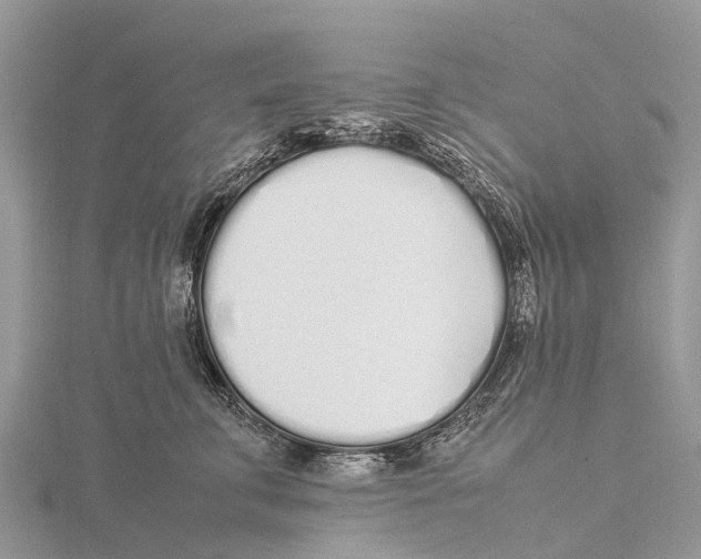 X0000115620711200912081023