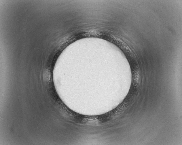 X0000115620715200912081023