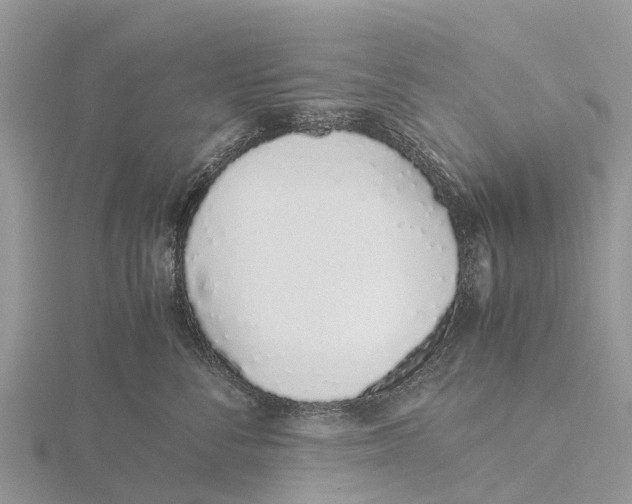 X0000115620716200912081023