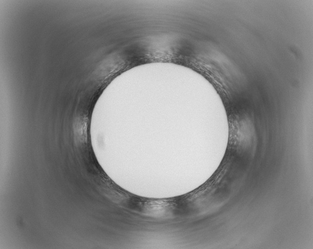 X0000115620717200912081023