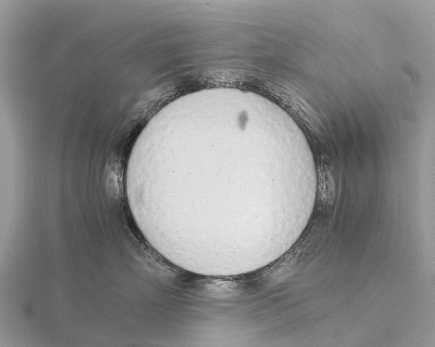 X0000115620718200912081023