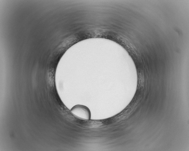 X0000115620719200912081023