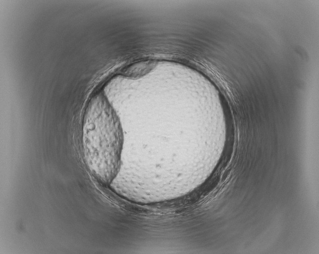 X0000115620721200912081022