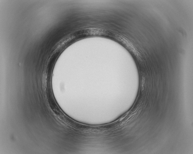 X0000115620722200912081023