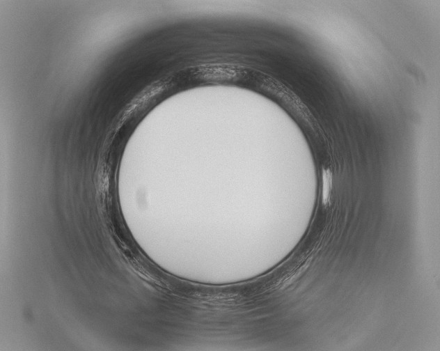 X0000115620723200912081023