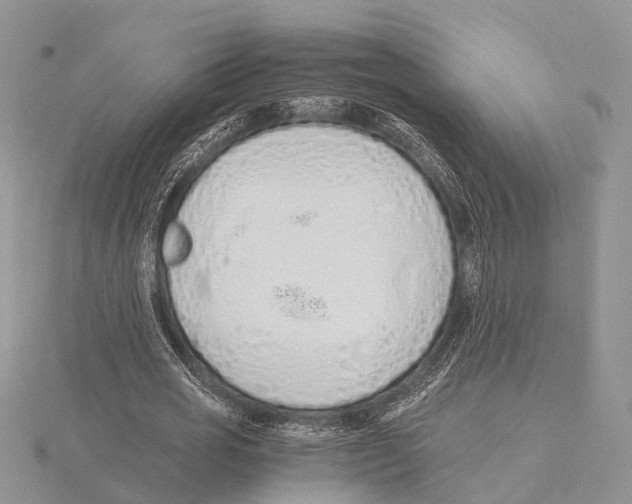 X0000115620725200912081023