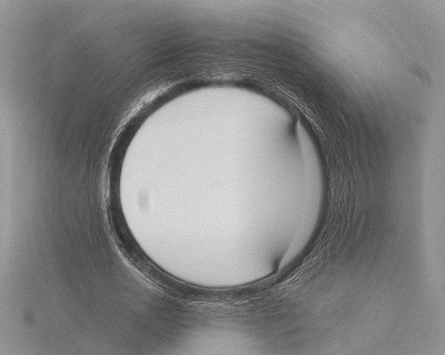 X0000115620726200912081023