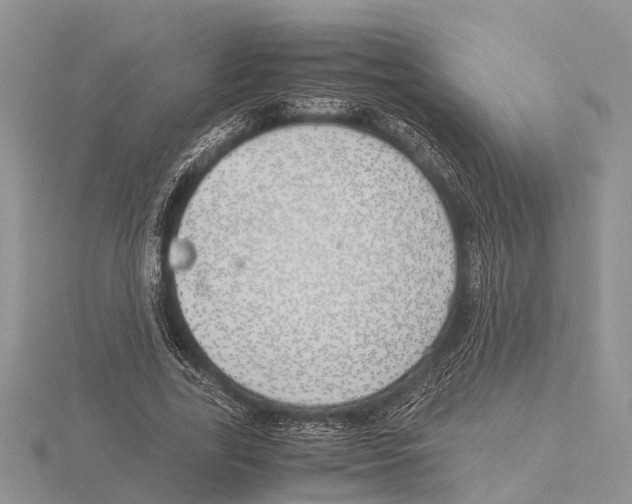 X0000115620731200912081023