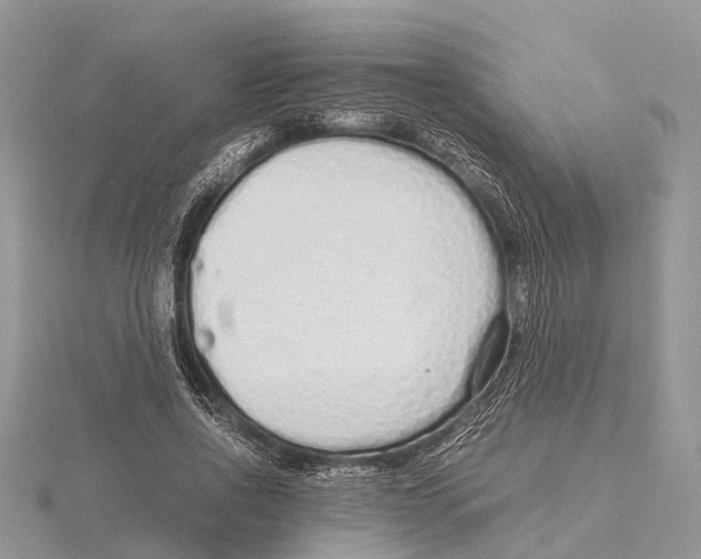 X0000115620734200912081023