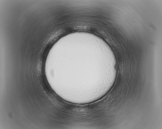 X0000115620735200912081023