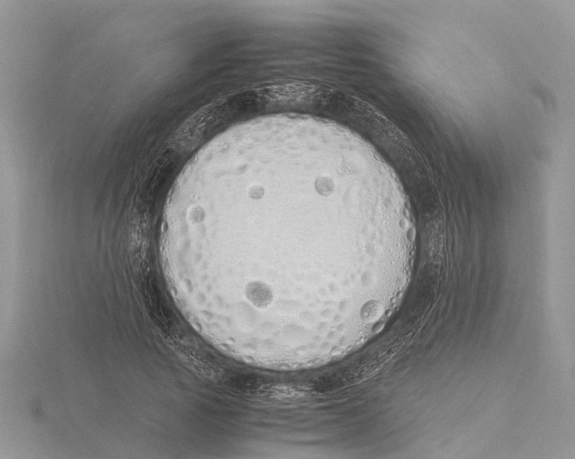 X0000115620737200912081023