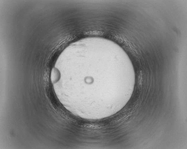 X0000115620739200912081023