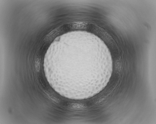 X0000115620741200912081023