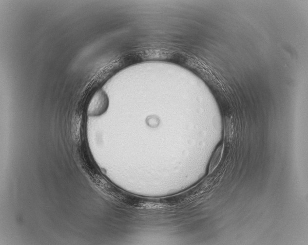 X0000115620742200912081023