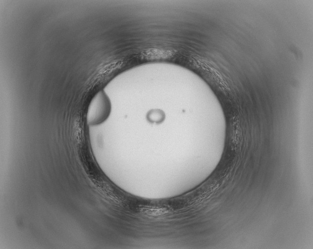 X0000115620743200912081023