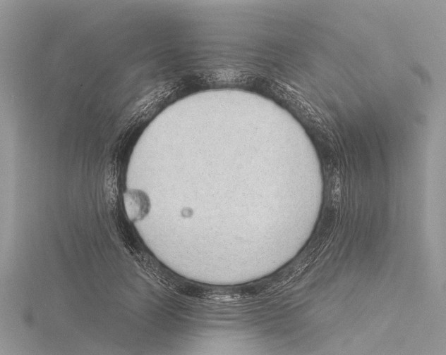 X0000115620746200912081023