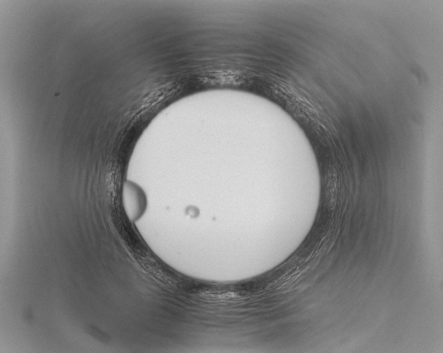 X0000115620747200912081023