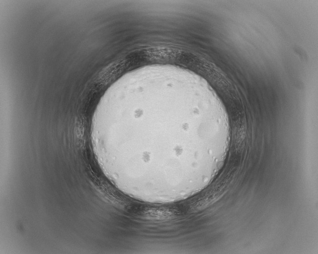 X0000115620749200912081023