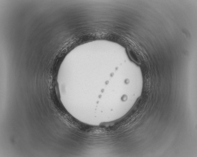 X0000115620750200912081023