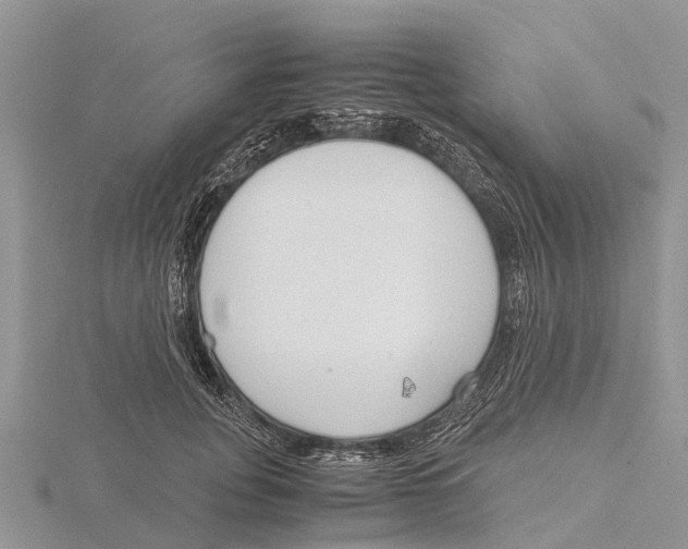 X0000115620751200912081023