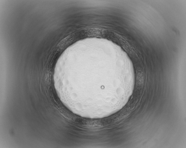 X0000115620753200912081023