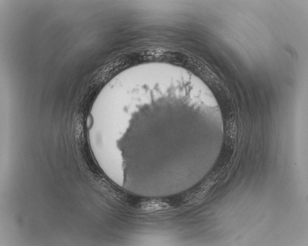 X0000115620754200912081023