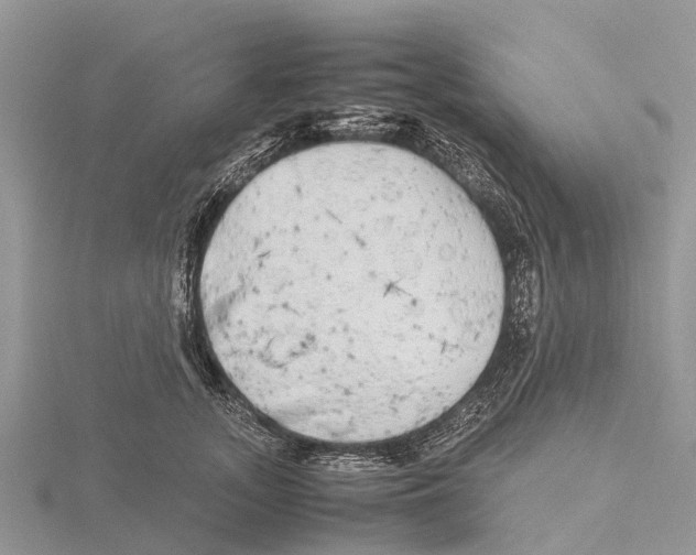 X0000115620755200912081023