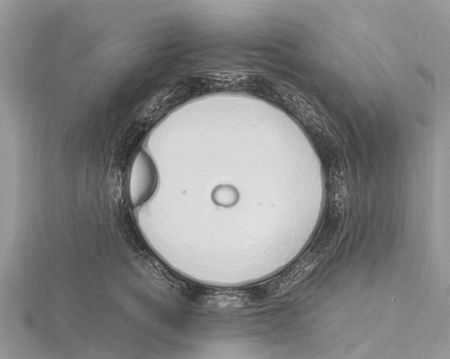 X0000115620758200912081023