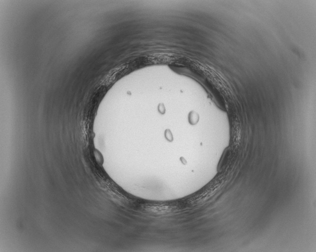 X0000115620759200912081023