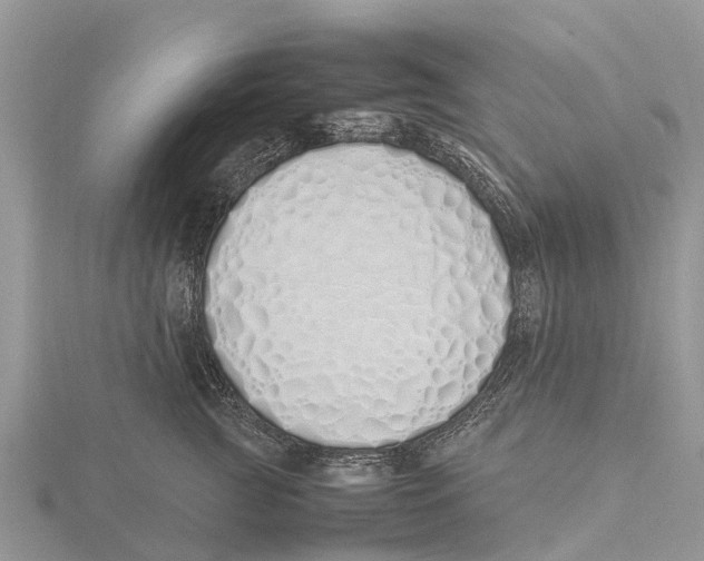 X0000115620761200912081023