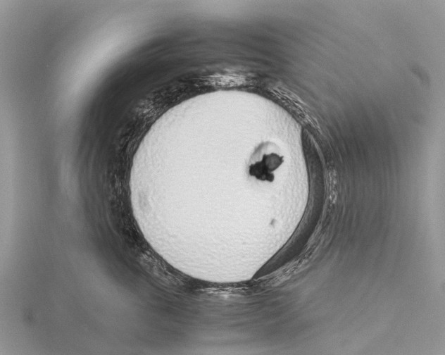 X0000115620763200912081023