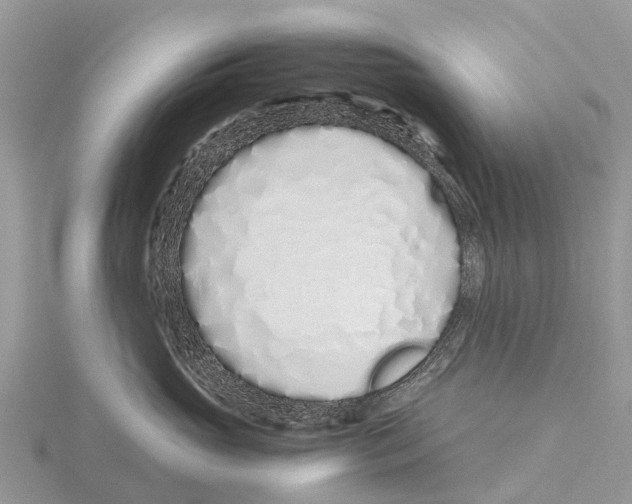 X0000115620765200912081023