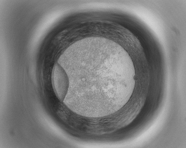 X0000115620766200912081023