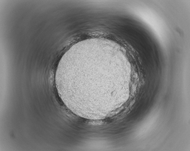 X0000115620767200912081023